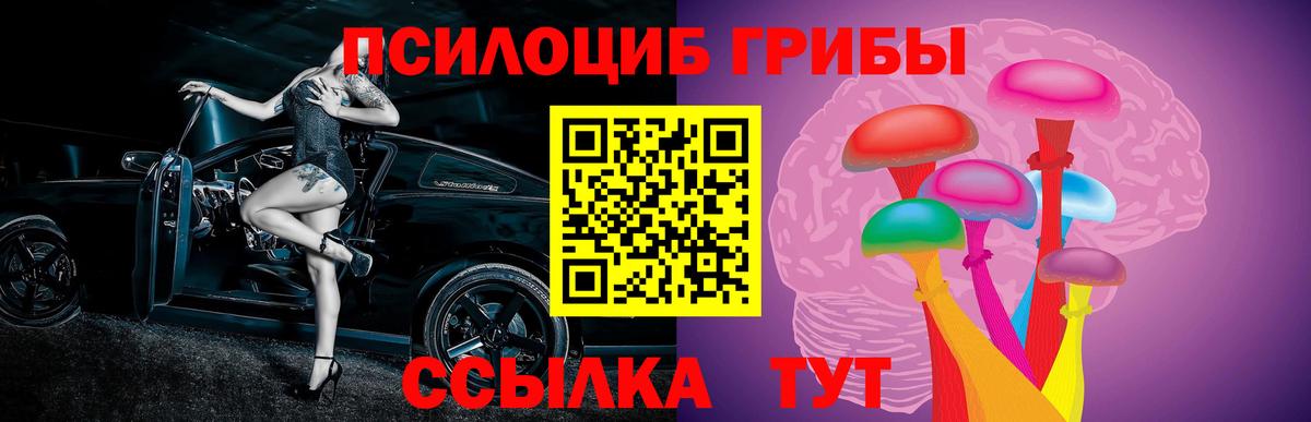 Бирск  Галлюциногенные грибы мицелий  наркошоп  Галлюциногенные грибы GOLDEN TEACHER  Вход с VPN 